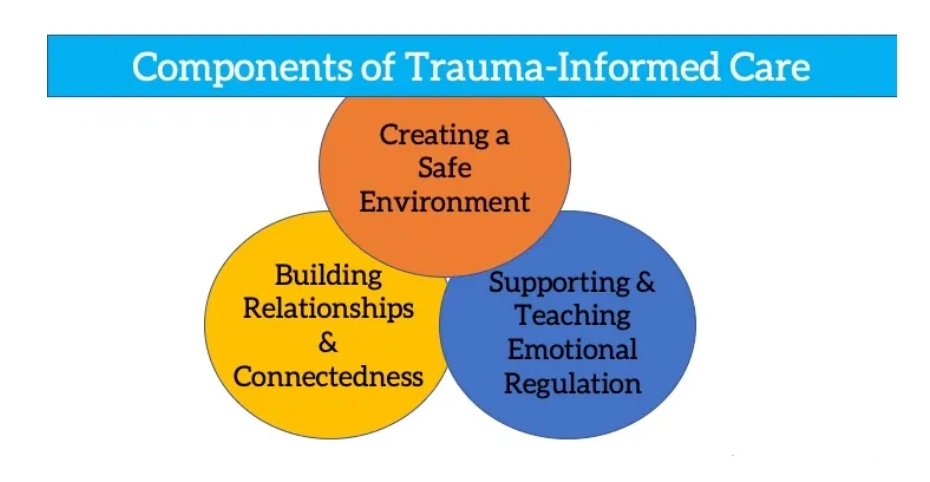 Trauma awareness - Phoenix Academy